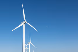 Wind turbines in a field for sustainable energy