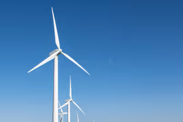 Wind turbines in a field for sustainable energy