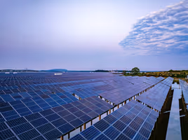 Field of solar panels